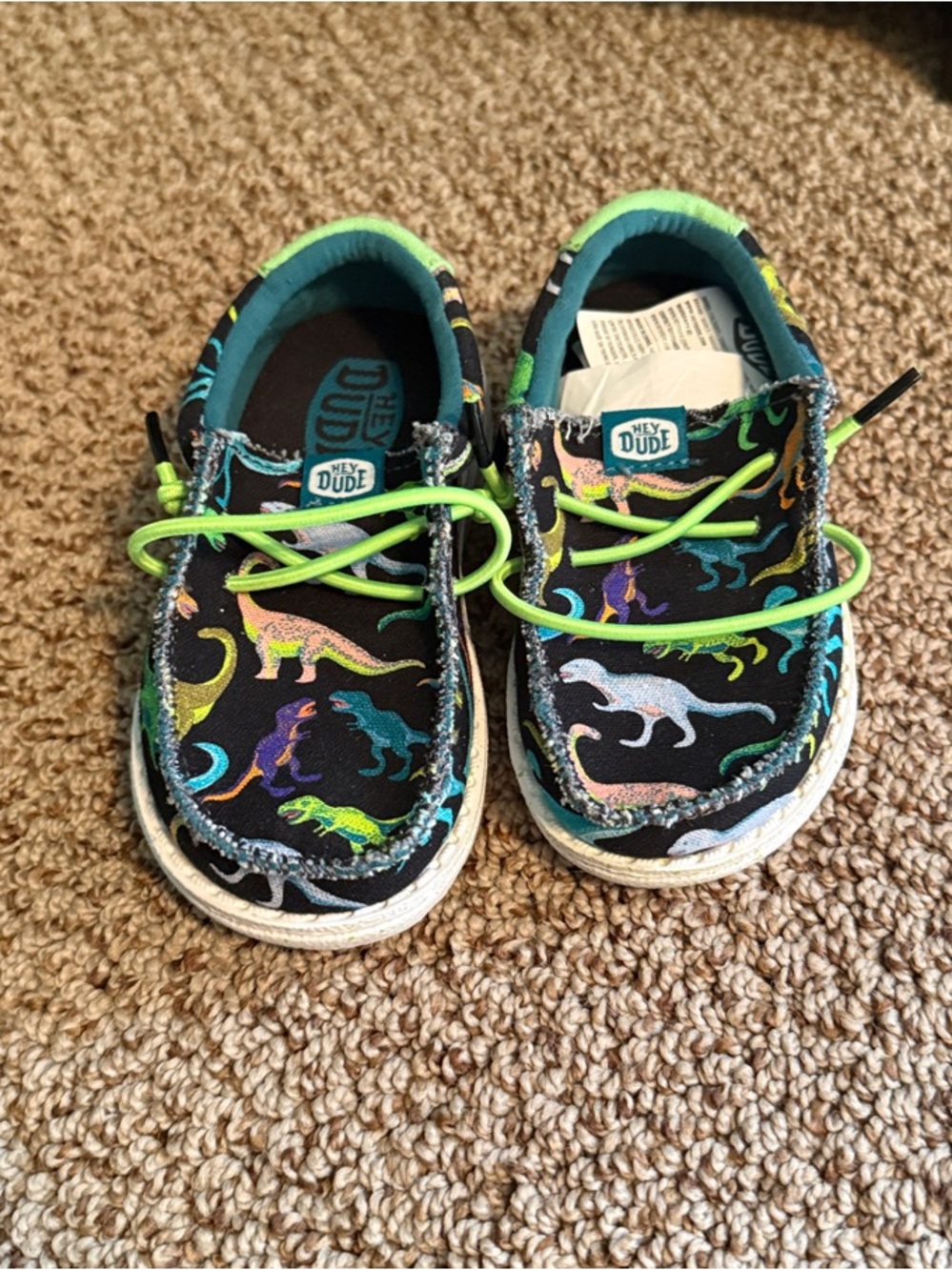 Kids Hey Dude Dinosaur Canvas Slip-On Shoes in Teal and Neon Green